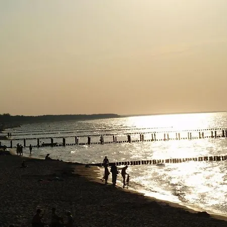 Holiday home Apartment In Modern Retreat Zingst